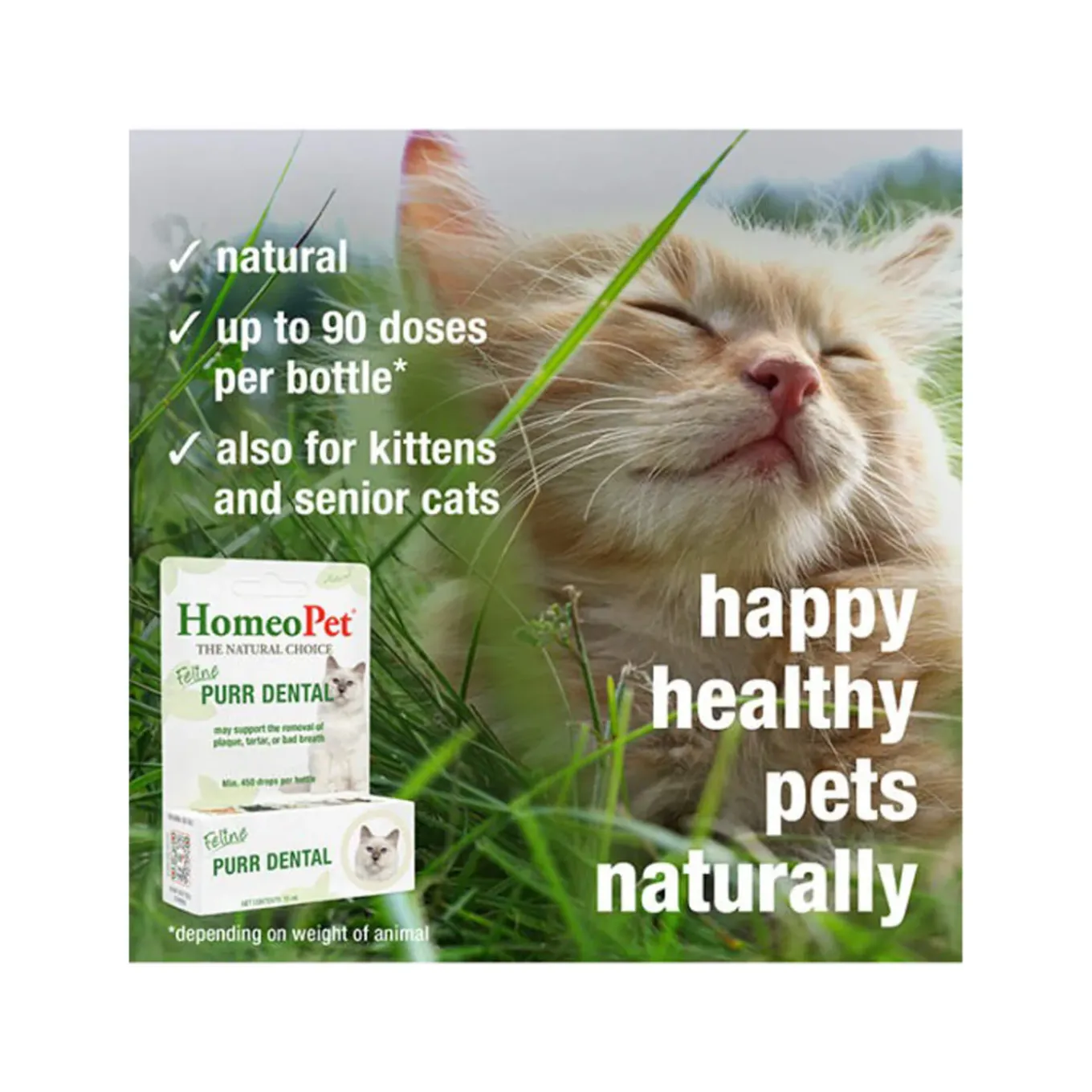 HomeoPet Feline Purr Homeopathic Dental Drops for Cats
