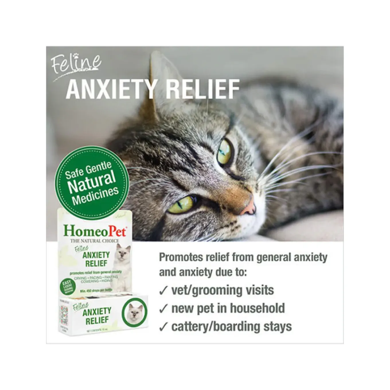 HomeoPet Homeopathic Anxiety Relief Drops for Dogs & Cats