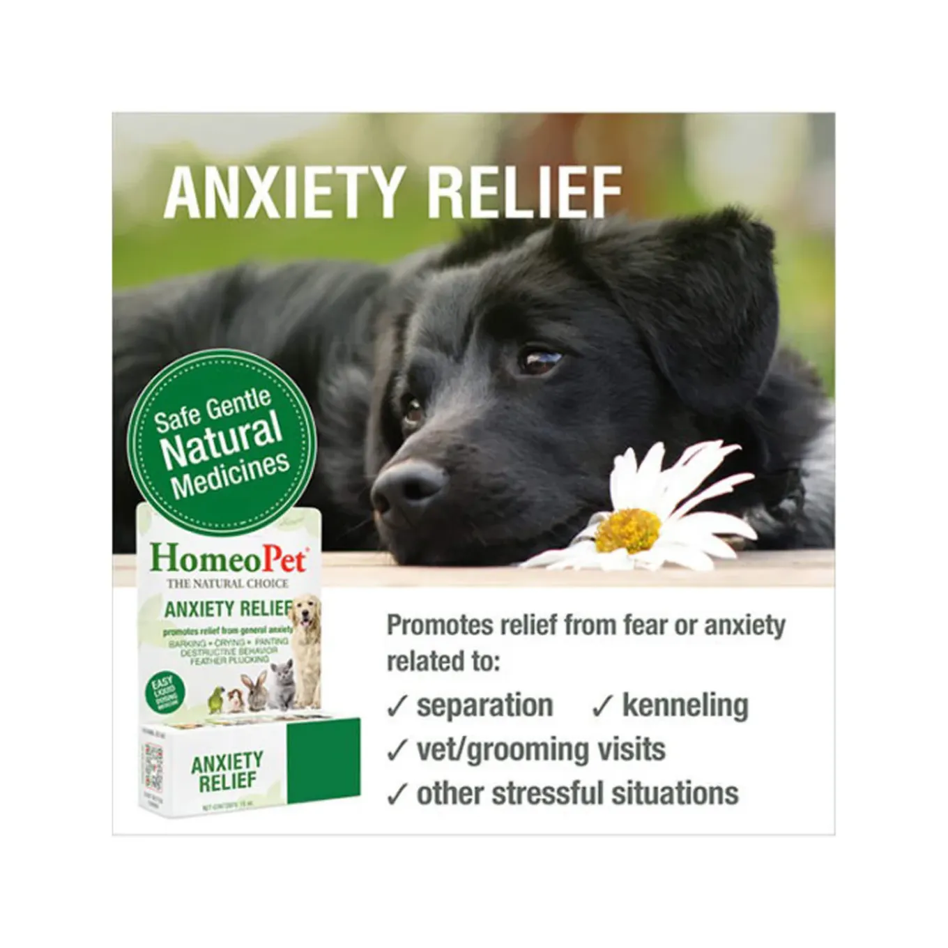 HomeoPet Homeopathic Anxiety Relief Drops for Dogs & Cats