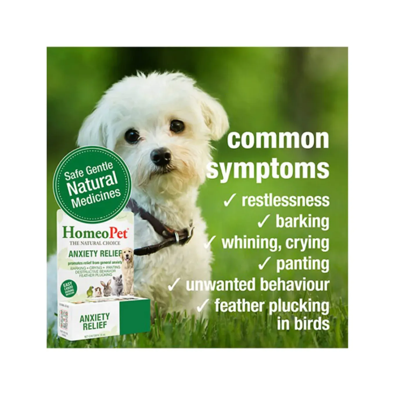 HomeoPet Homeopathic Anxiety Relief Drops for Dogs & Cats