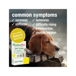 HomeoPet Homeopathic Joint Stress Mobility Support Drops for Dogs & Cats