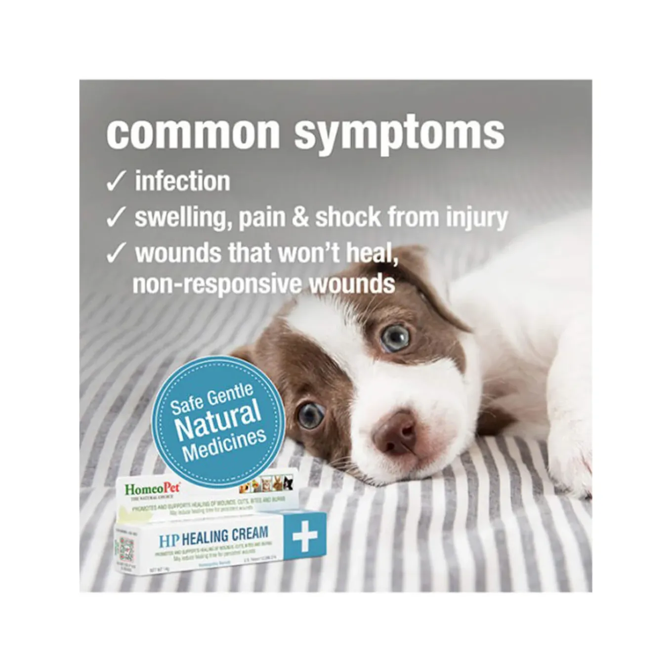 HomeoPet HP Homeopathic Healing Cream for Dogs & Cats