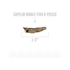 Icelandic+ Grain-Free Whole Fish Cat Treats