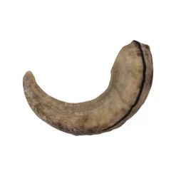 Icelandic+ Lamb Horn Dog Chew