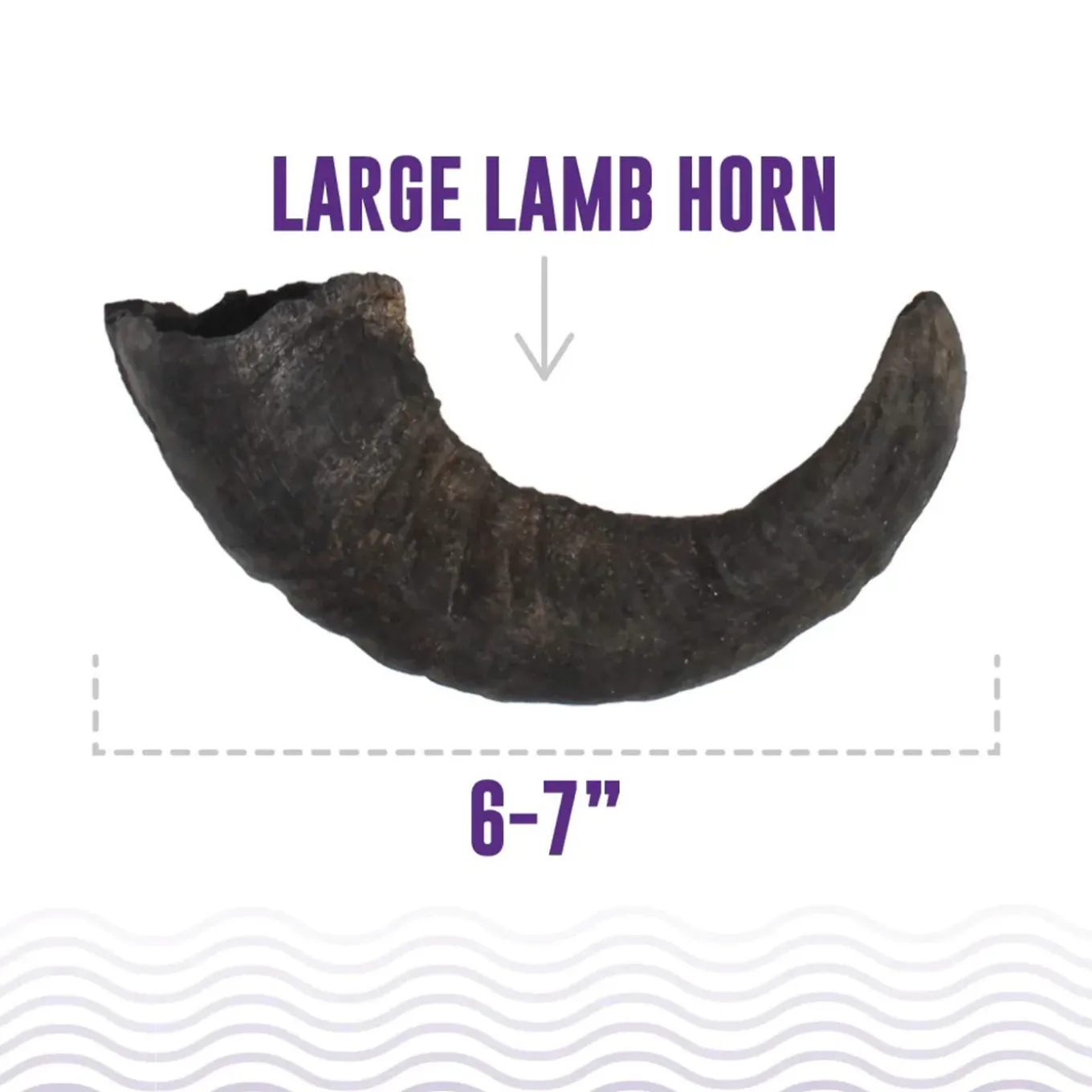 Icelandic+ Lamb Horn Dog Chew