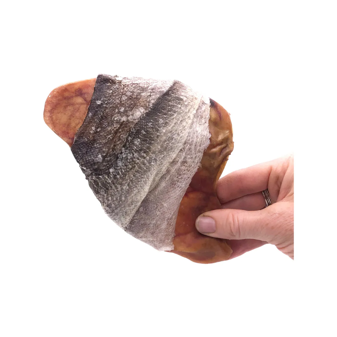 Icelandic+ Pork Pig Ear Dog Chew Wrapped with Fish Skin