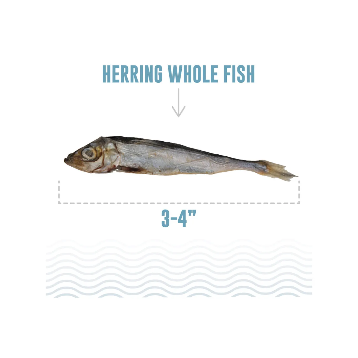 Icelandic+ Herring Whole Fish Dog Treats