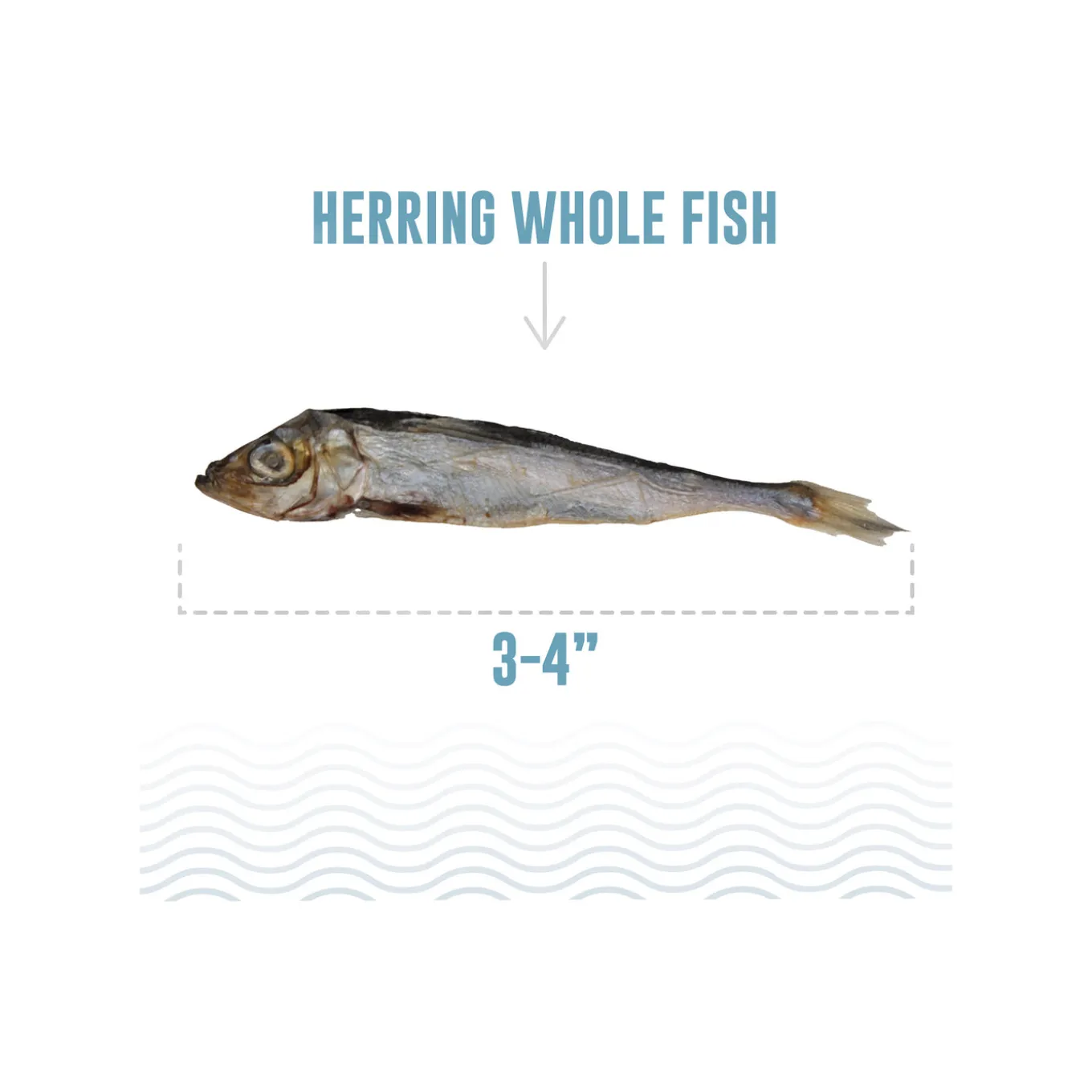 Icelandic+ Herring Whole Fish Dog Treats