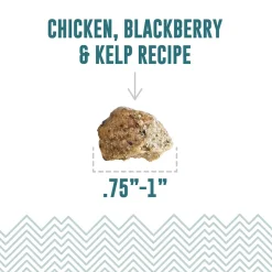 Icelandic+ Soft & Chewy Bites with Kelp for Dogs