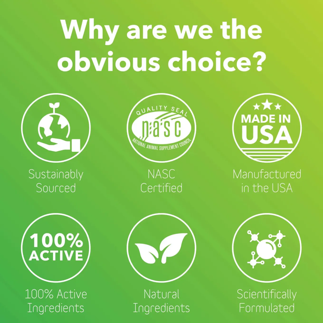 In Clover Allergy Powder Supplement for Dogs & Cats
