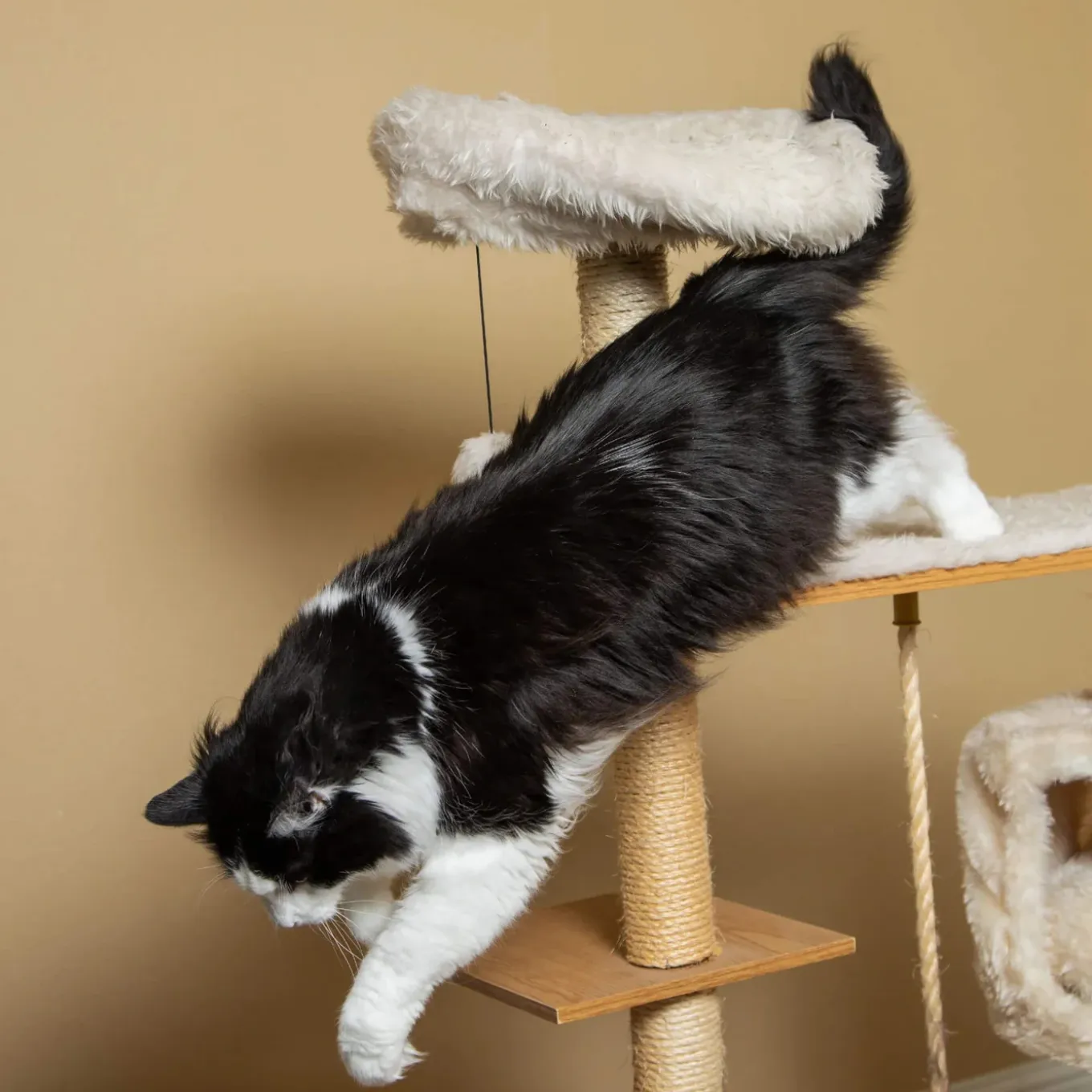 In Clover Connectin Hip & Joint Powder For Cats