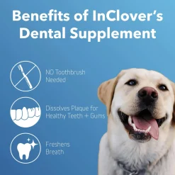 In Clover Dental Powder for Dogs & Cats