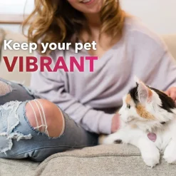 In Clover Heart Support Powder for Dogs & Cats