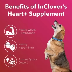 In Clover Heart Support Powder for Dogs & Cats