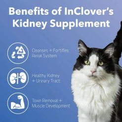 In Clover Kidney Powder Supplement for Dogs & Cats