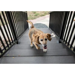 In Clover Connectin Hip and Joint for Dogs