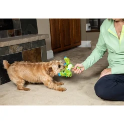 In Clover Connectin Hip and Joint for Dogs