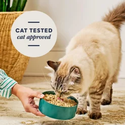 Instinct FreshDried Pates Freeze Dried Raw Cat Food