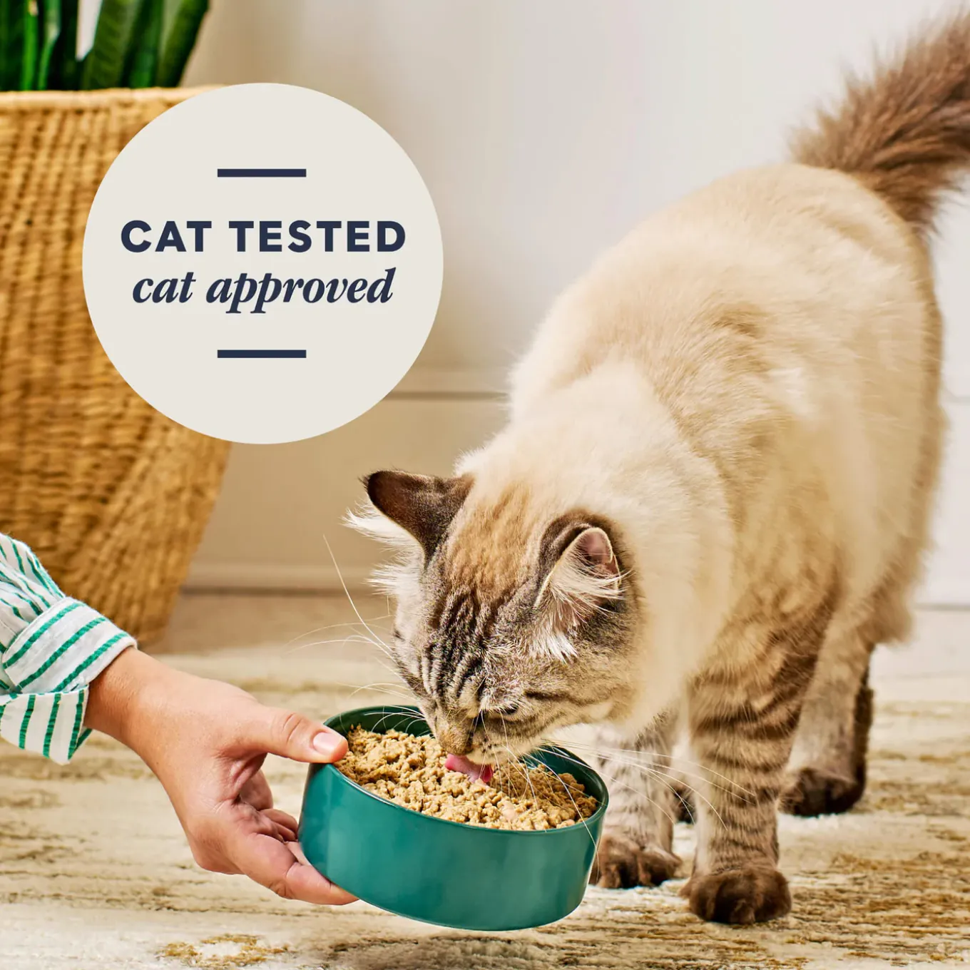 Instinct FreshDried Pates Freeze Dried Raw Cat Food