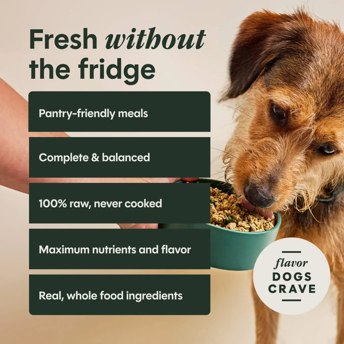 Instinct FreshDried Meal Blends Freeze Dried Raw Dog Food