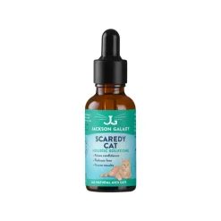 Jackson Galaxy Scaredy Cat Solution