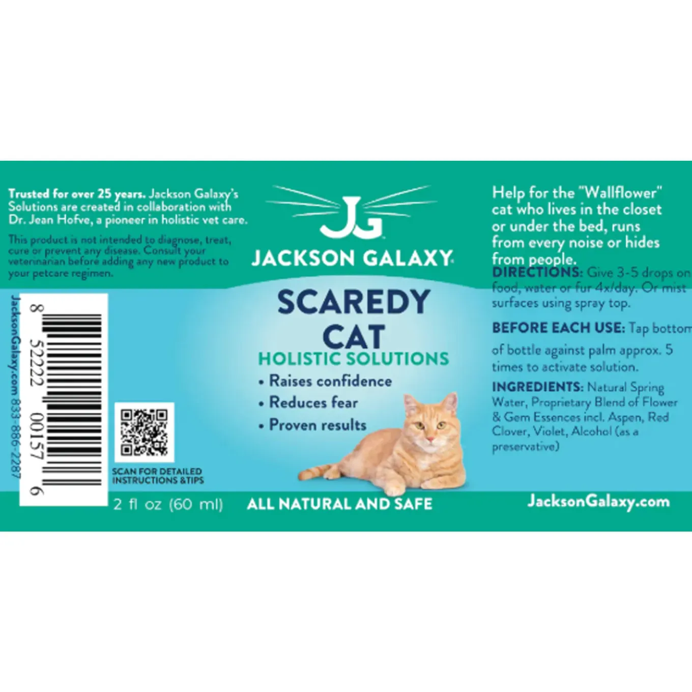 Jackson Galaxy Scaredy Cat Solution