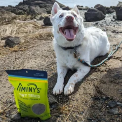 Jiminy's Chewy Treats for Dogs