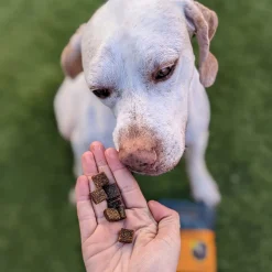 Jiminy's Chewy Treats for Dogs
