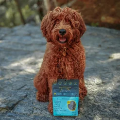 Jiminy's Crunchy Biscuit Dog Treats