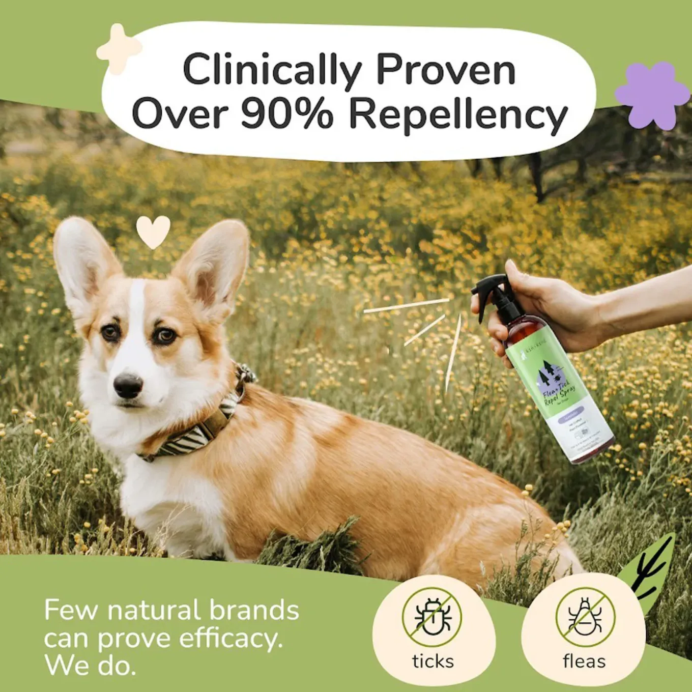 Kin + Kind Flea & Tick Protect Spray for Dogs