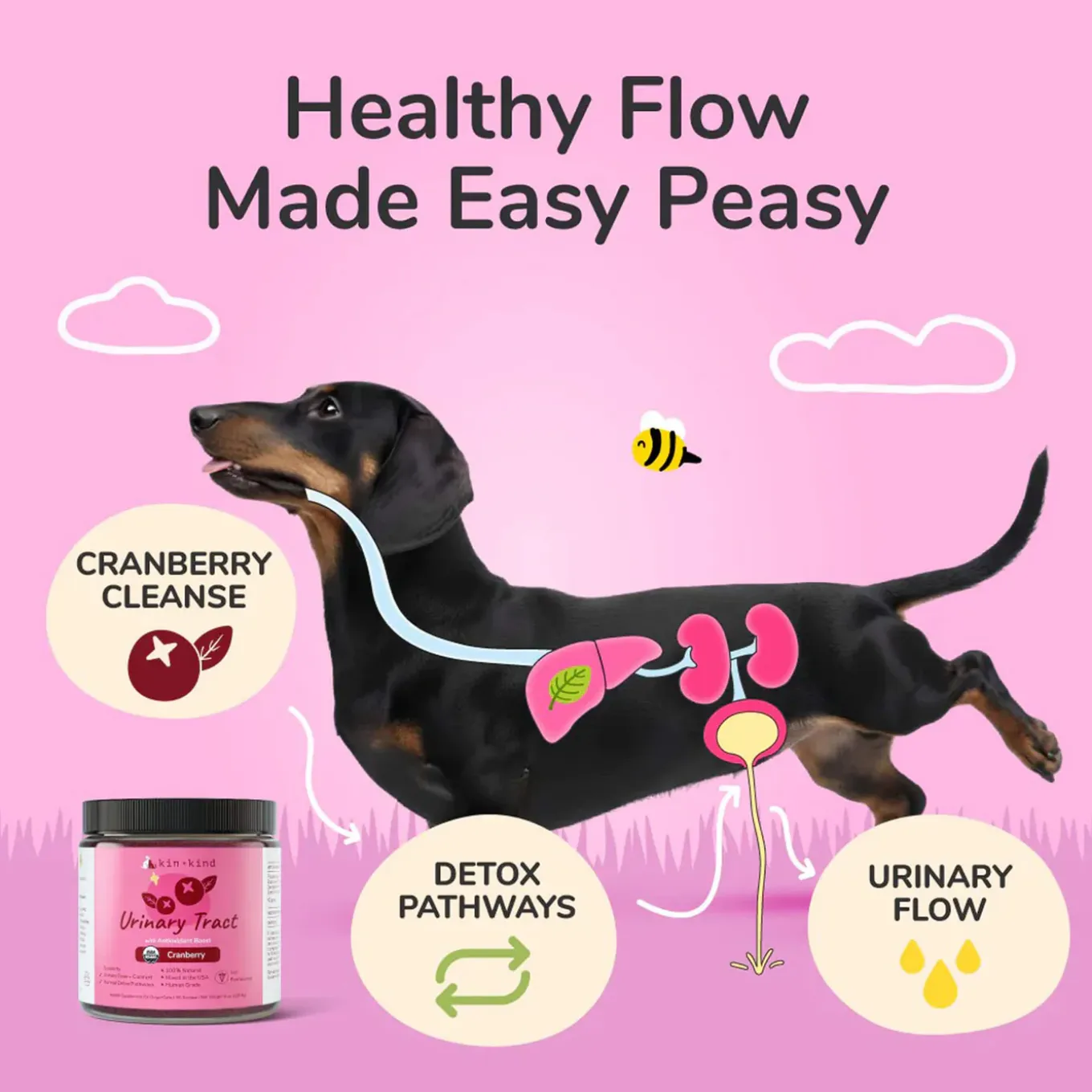 Kin + Kind Organic Urinary Tract Supplement for Cats & Dogs