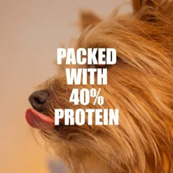 K9 Natural Baked & Coated Grain-Free Dog Food
