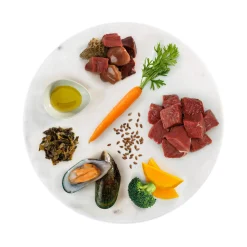 K9 Natural Freeze-Dried Dog Food