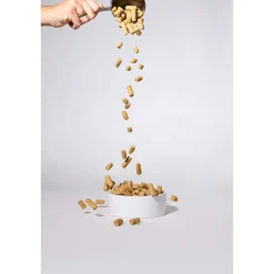 K9 Natural Freeze-Dried Dog Food