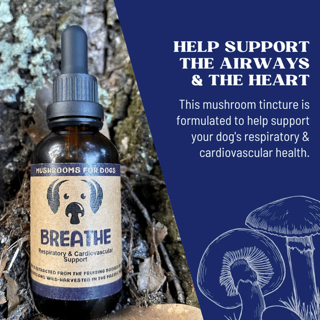 MycoDog Breathe Liquid Respiratory & Cardiovascular Supplement for Dogs