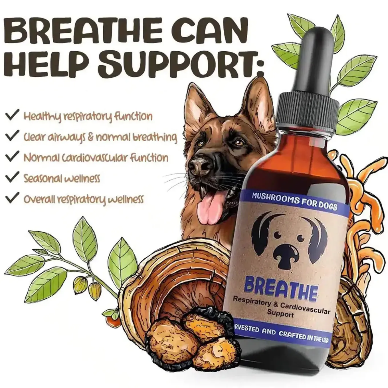 MycoDog Breathe Liquid Respiratory & Cardiovascular Supplement for Dogs