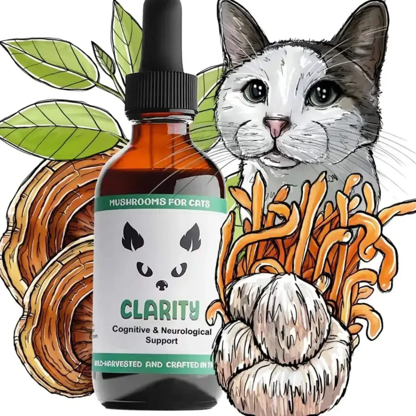 MycoDog Clarity Liquid Cognitive Support Supplement for Cats
