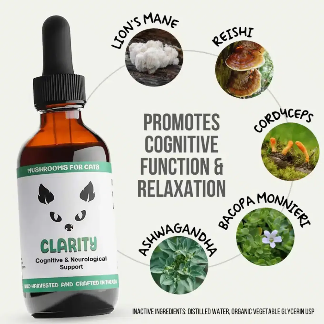 MycoDog Clarity Liquid Cognitive Support Supplement for Cats