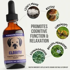 MycoDog Clarity Liquid Cognitive Support Supplement for Dogs
