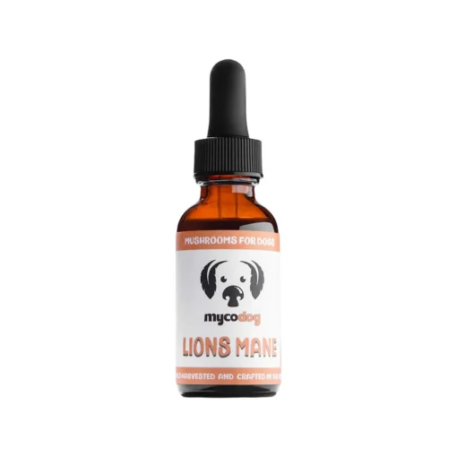 MycoDog Lion's Mane Mushroom Tincture for Dogs