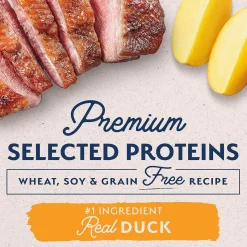 Natural Balance Limited Ingredient Dry Dog Food