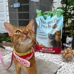 Naturally Fresh Quick Clumping Walnut Shell Multi-Cat Litter