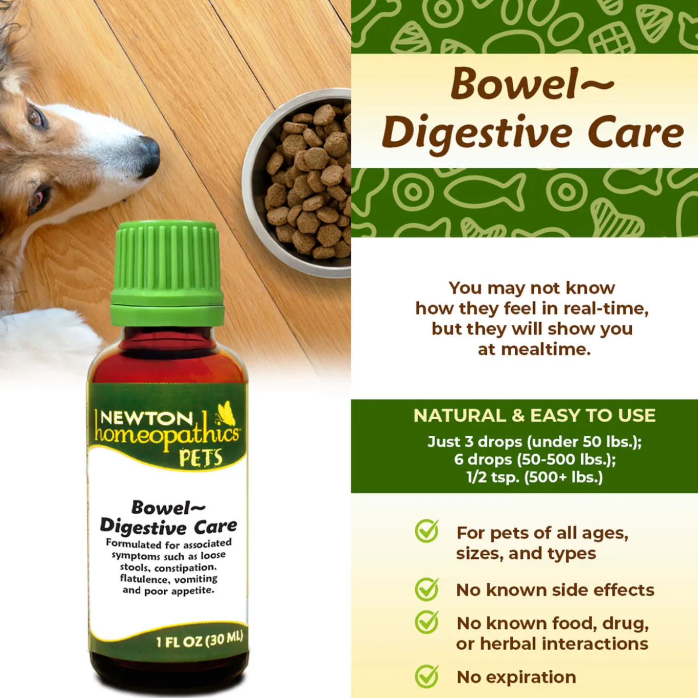 Newton Homeopathics Bowel Digestive Care