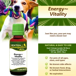 Newton Homeopathics Energy Vitality Assist