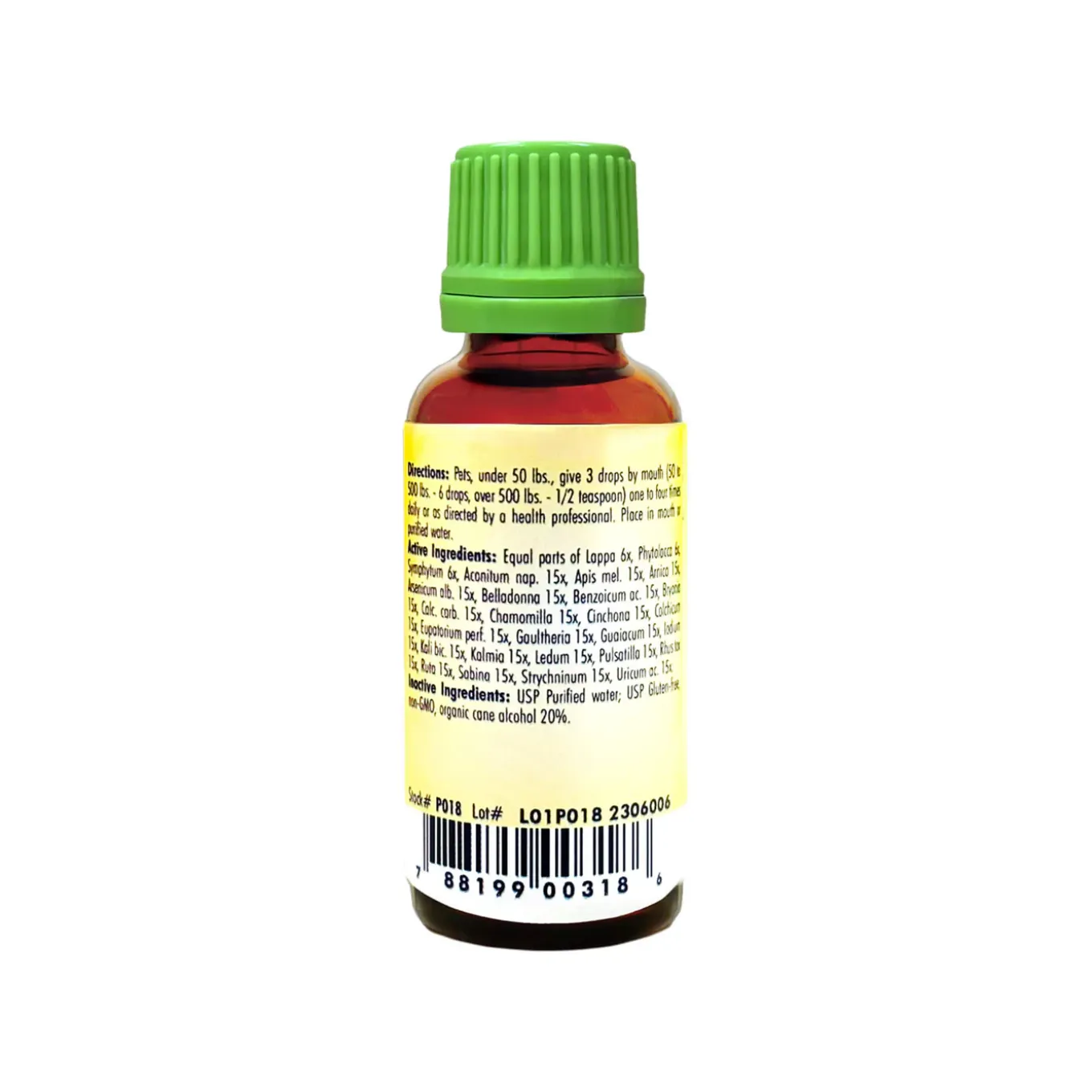 Newton Homeopathics Rheumatic ~ Joint Care
