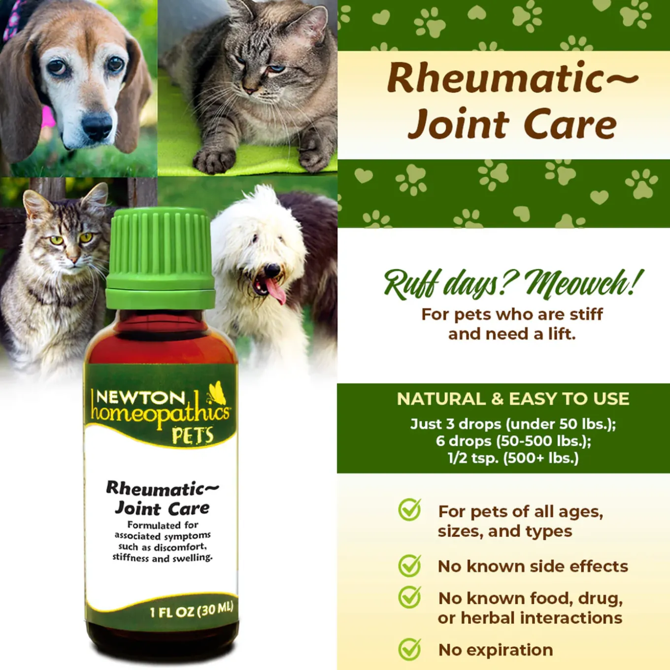 Newton Homeopathics Rheumatic ~ Joint Care