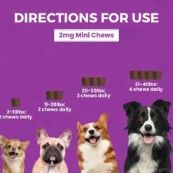 Nootie Progility Calming Supplement for Dogs