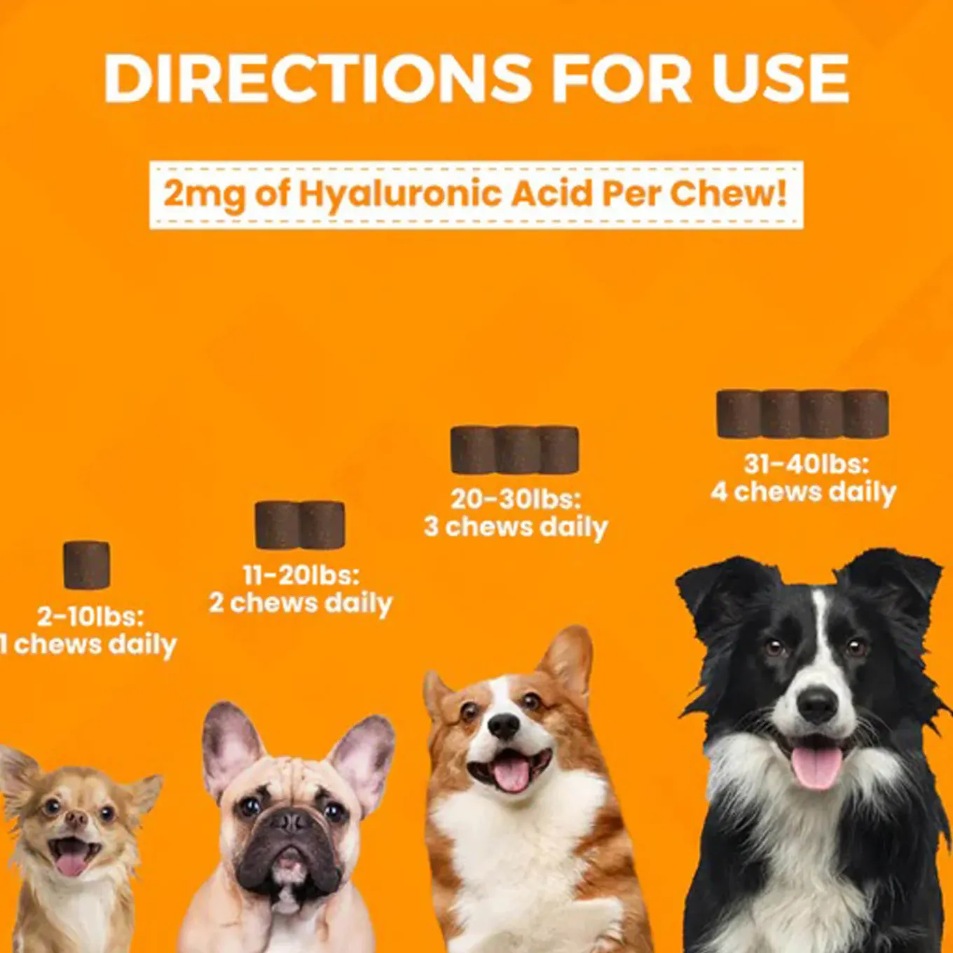 Nootie Progility Hip & Joint Supplement for Dogs