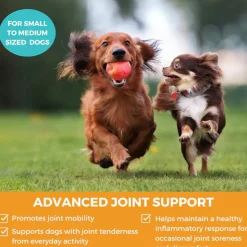 Nootie Progility Hip & Joint Supplement for Dogs