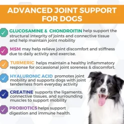 Nootie Progility Hip & Joint Supplement for Dogs